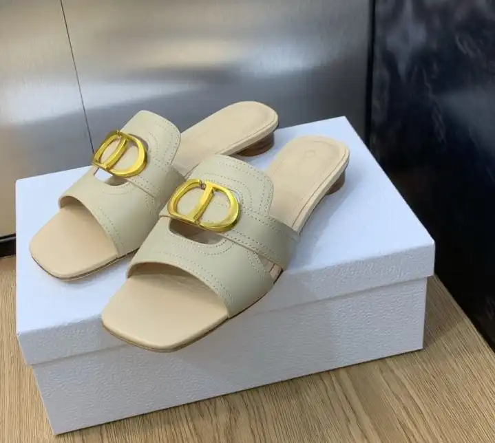 hype Christian Dior Slippers