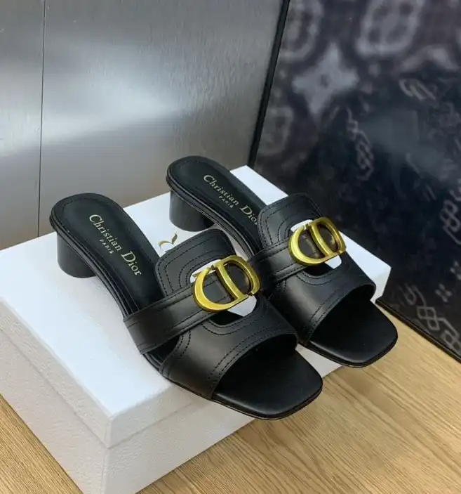 hype Christian Dior Slippers