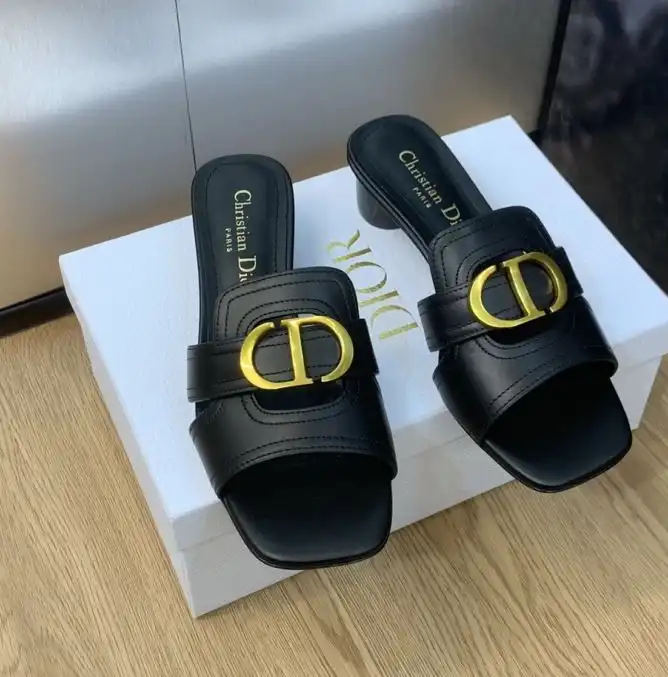 hype Christian Dior Slippers