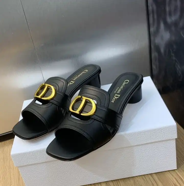 hype Christian Dior Slippers