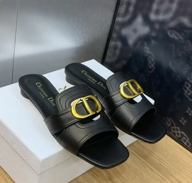 hype Christian Dior Slippers