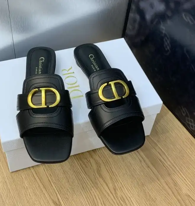 hype Christian Dior Slippers