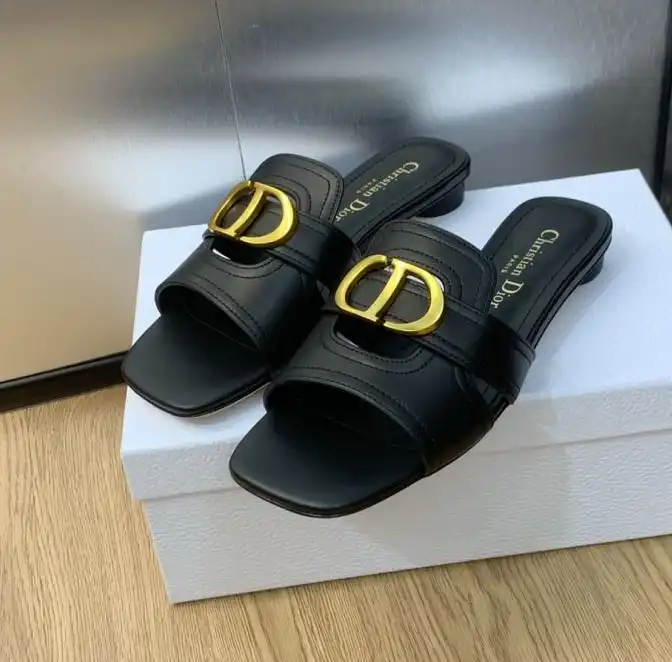 hype Christian Dior Slippers