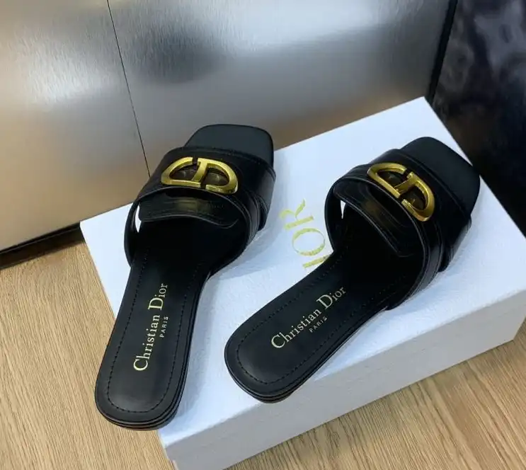 hype Christian Dior Slippers