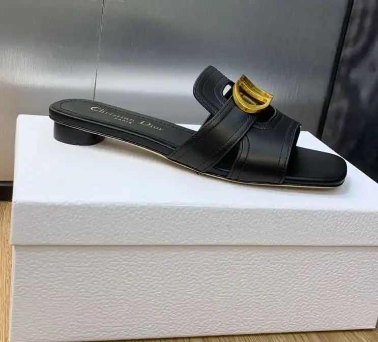 hype Christian Dior Slippers