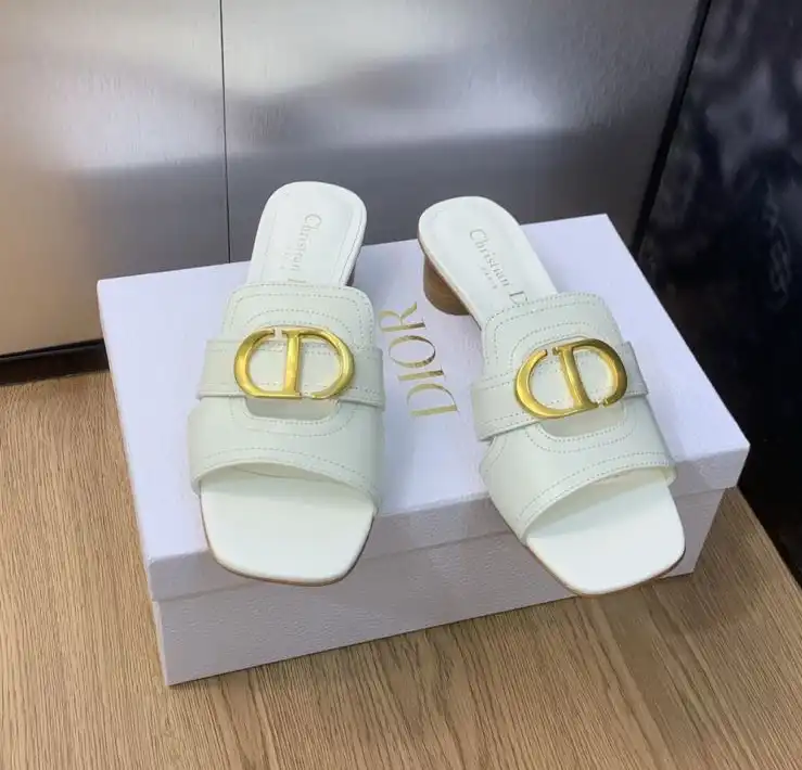 hype Christian Dior Slippers