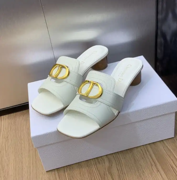 hype Christian Dior Slippers