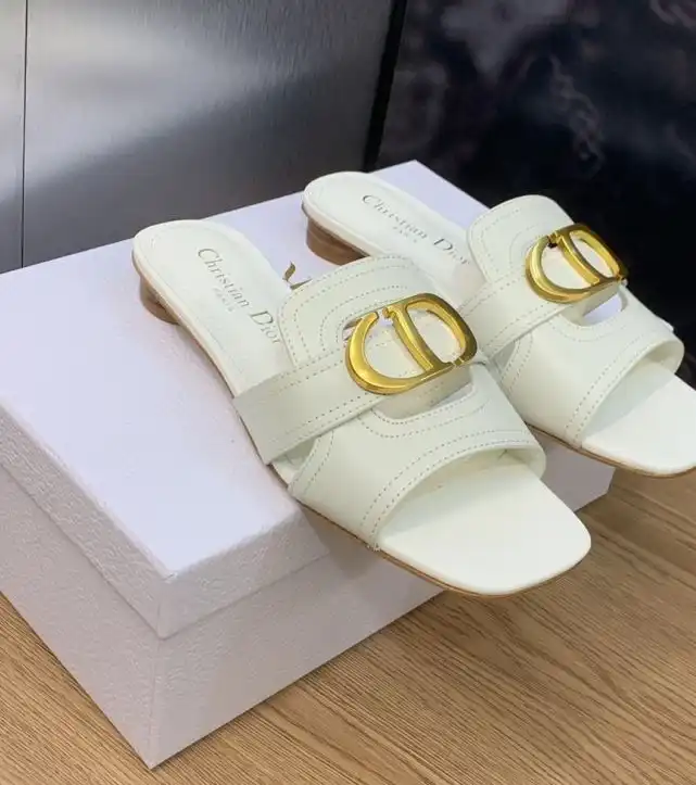 hype Christian Dior Slippers