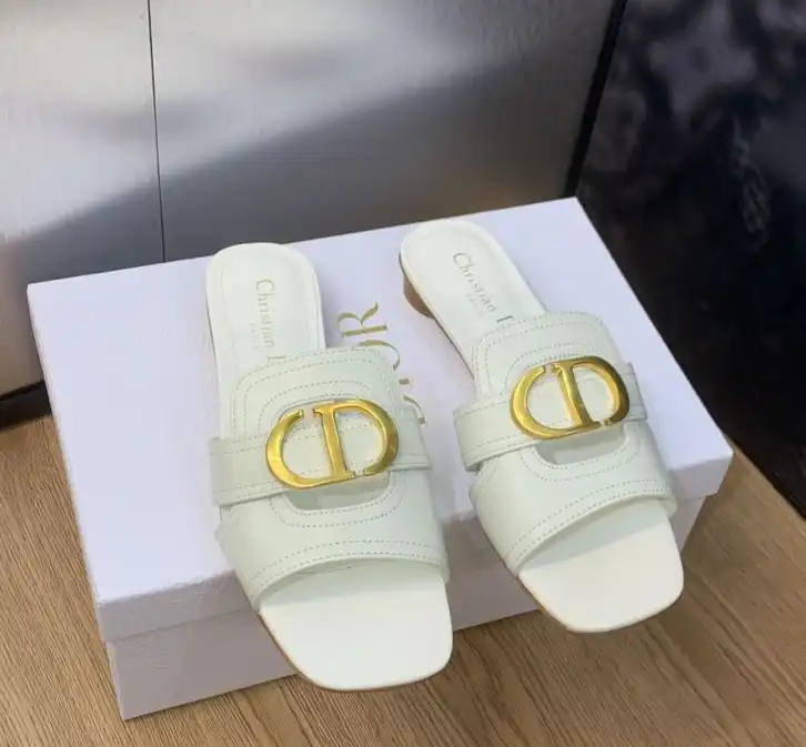 hype Christian Dior Slippers