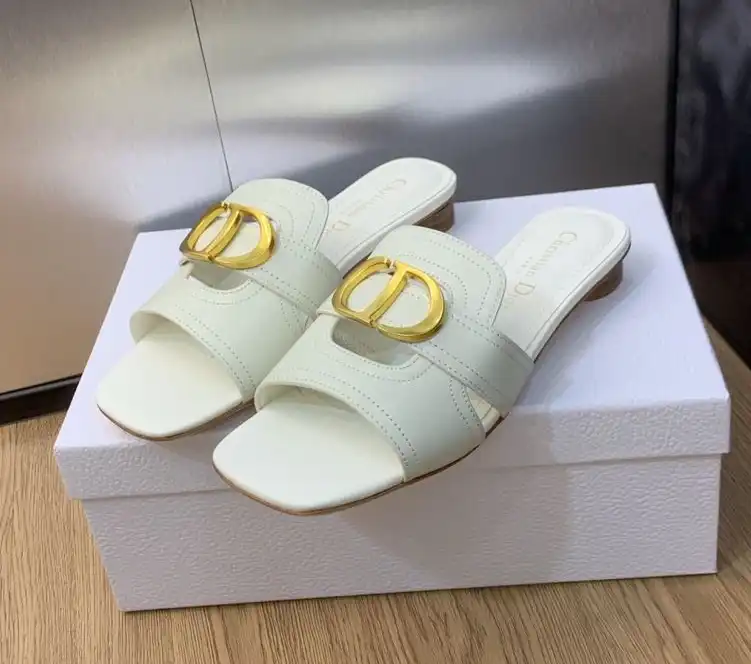 hype Christian Dior Slippers