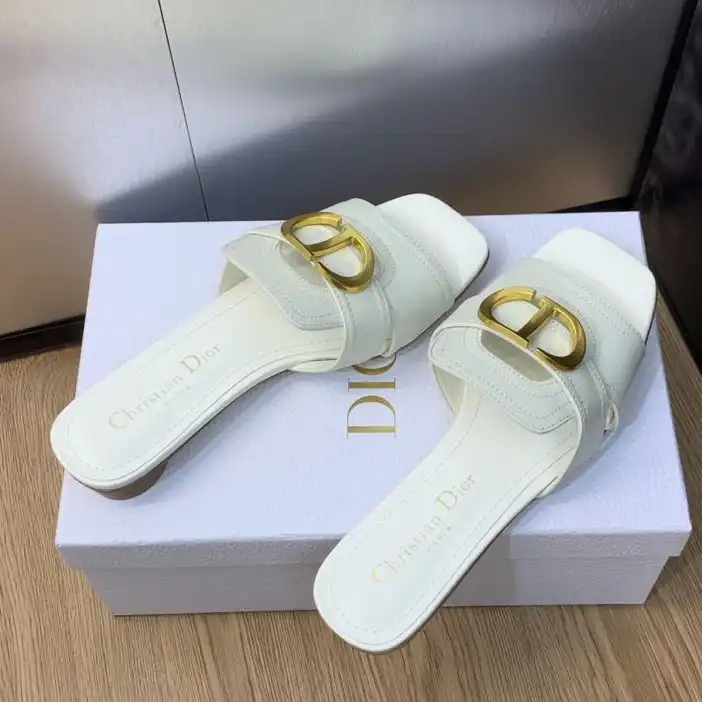 hype Christian Dior Slippers