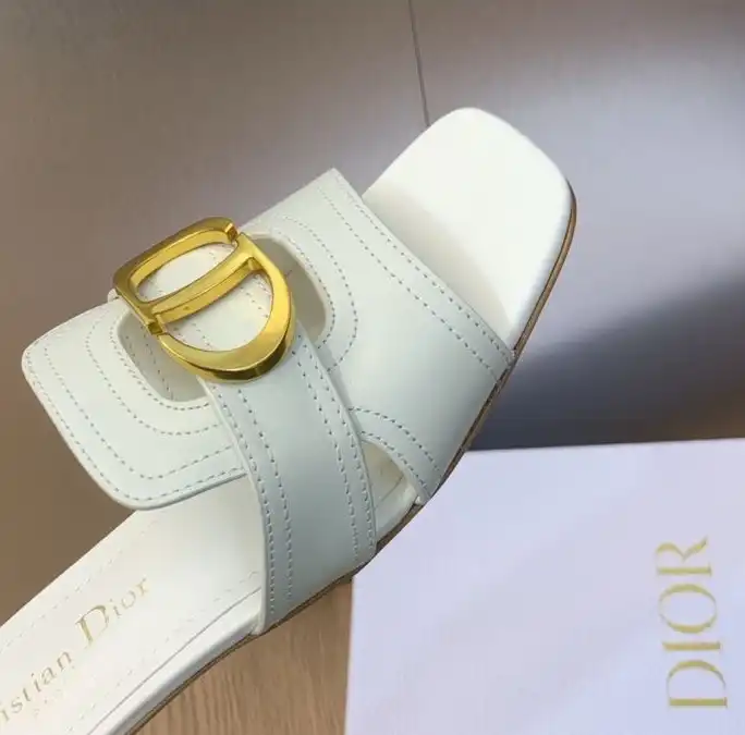 hype Christian Dior Slippers