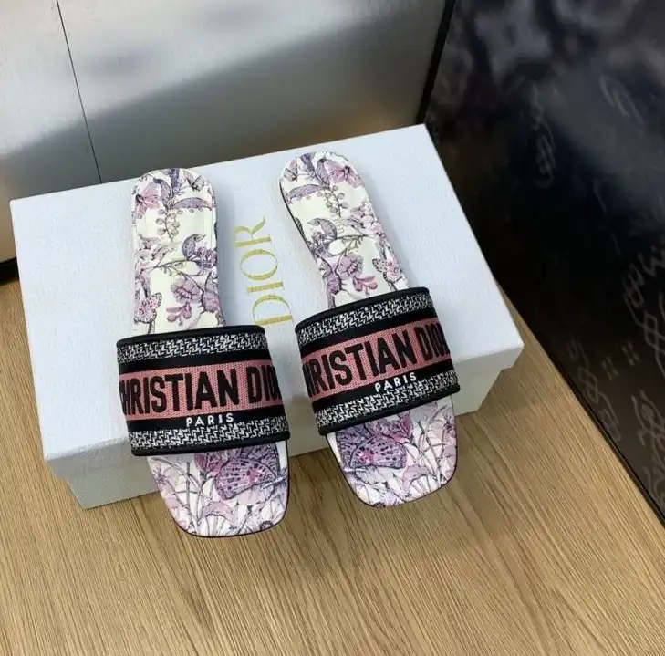 hype Christian Dior Slippers