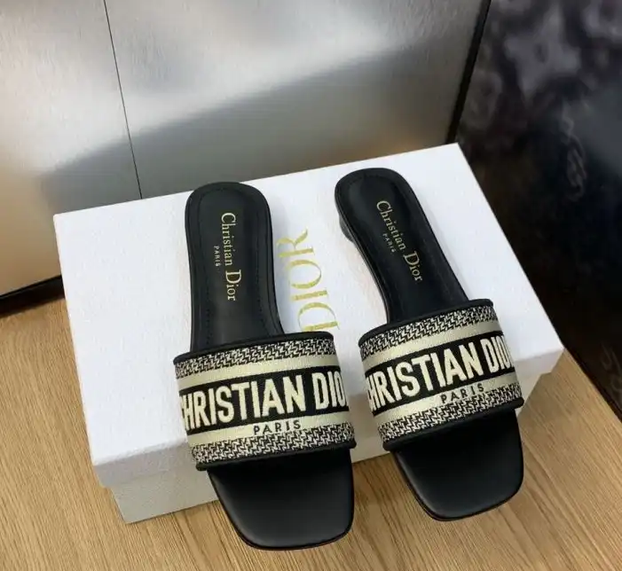 hype Christian Dior Slippers