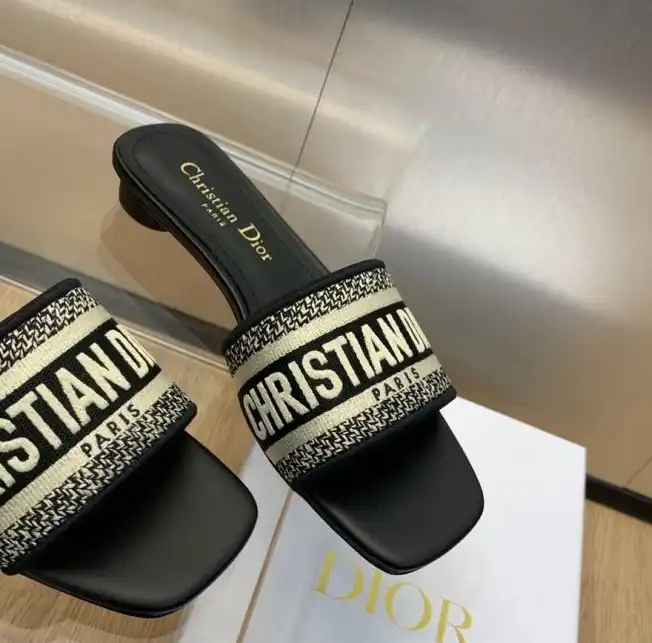 hype Christian Dior Slippers