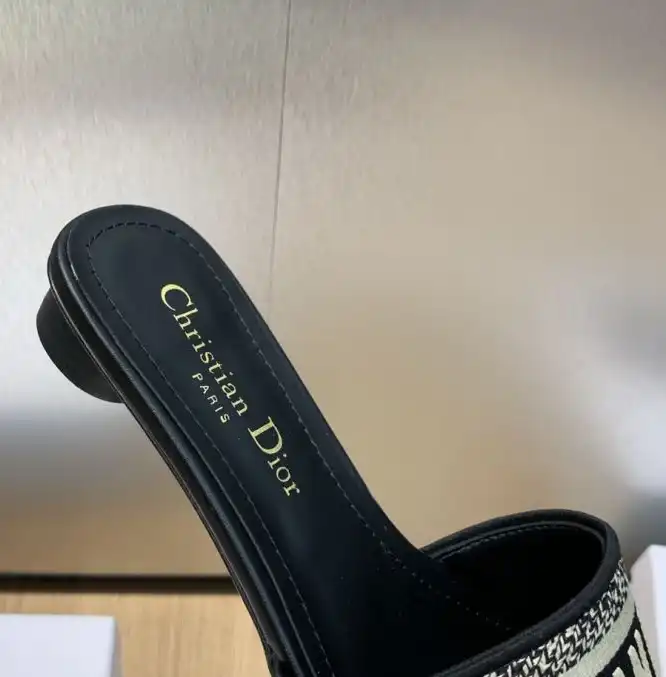 hype Christian Dior Slippers