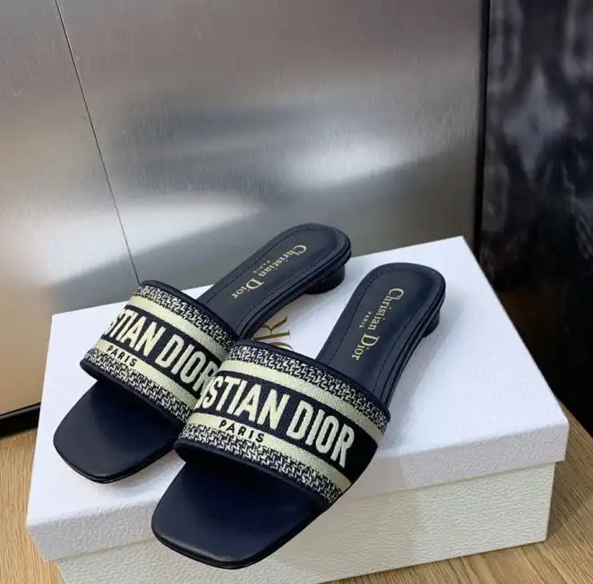 hype Christian Dior Slippers