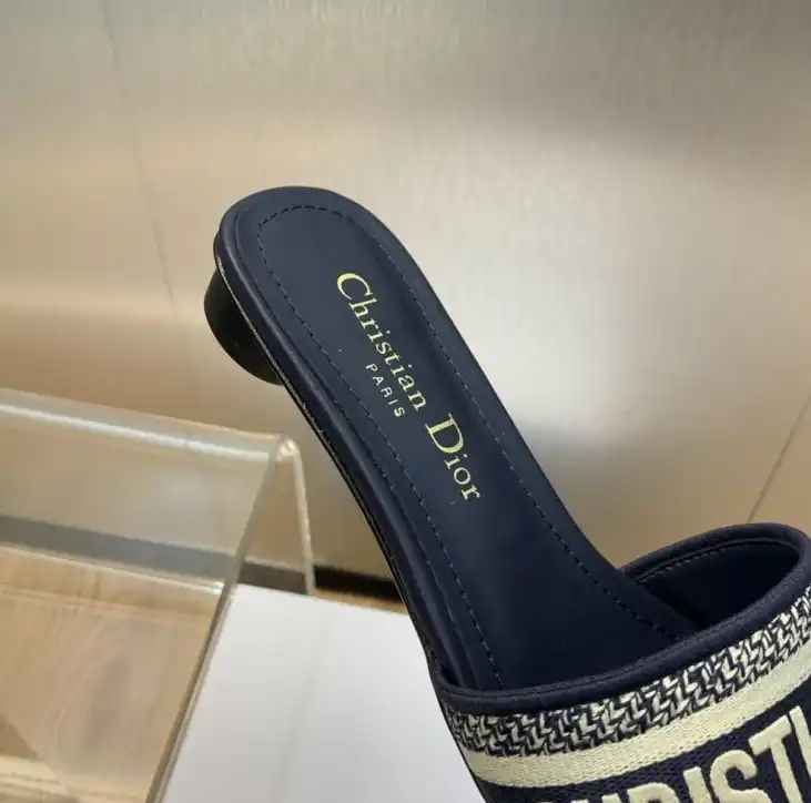 hype Christian Dior Slippers