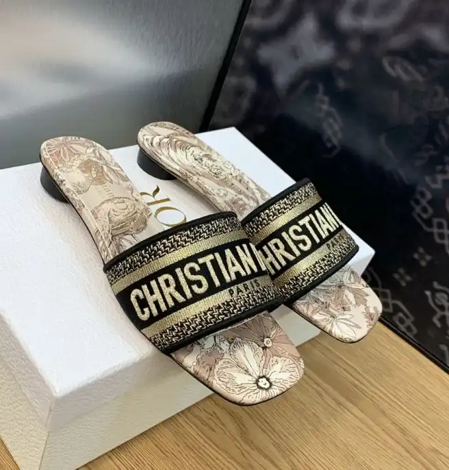 hype Christian Dior Slippers