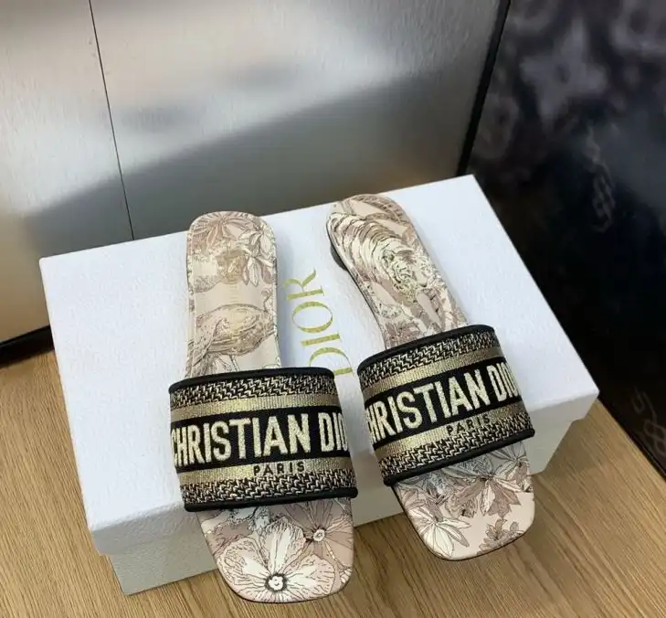 hype Christian Dior Slippers