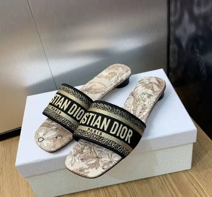 hype Christian Dior Slippers