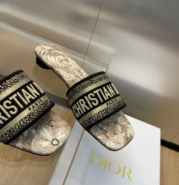 hype Christian Dior Slippers