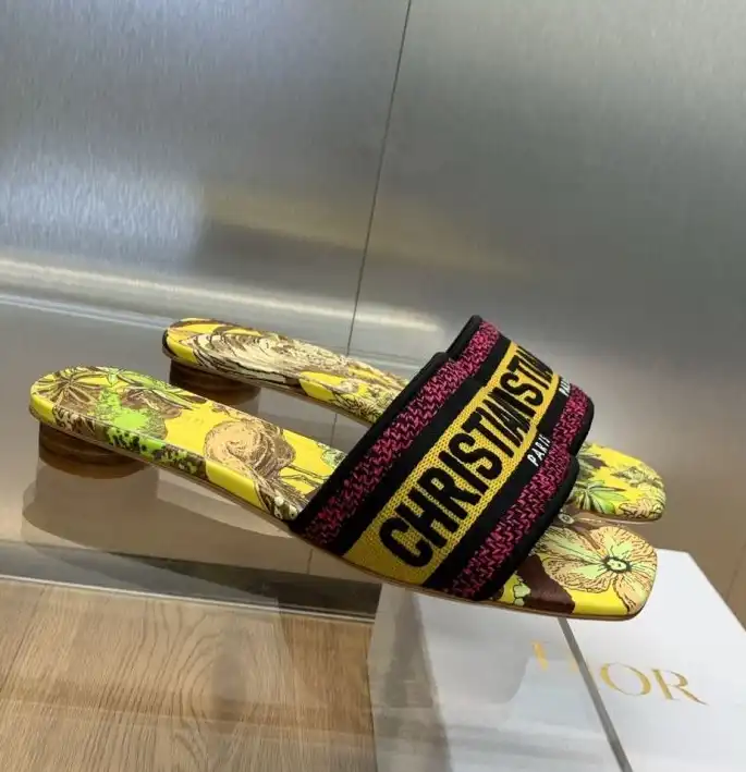 hype Christian Dior Slippers