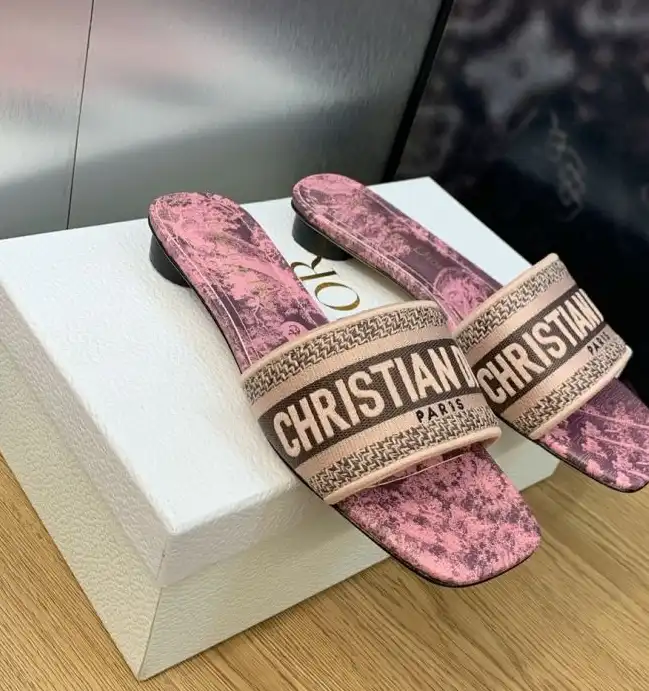 hype Christian Dior Slippers