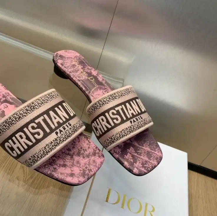 hype Christian Dior Slippers