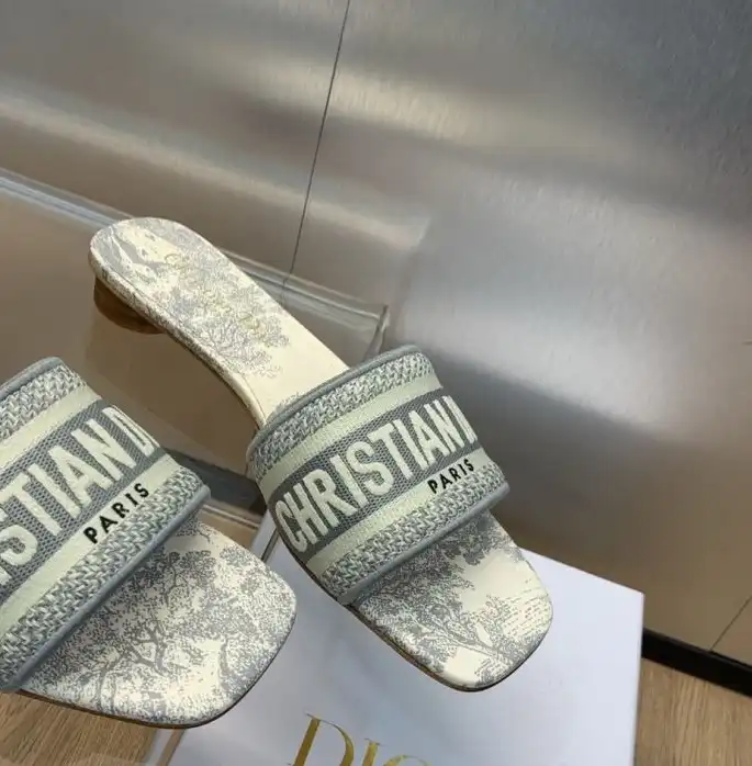 hype Christian Dior Slippers