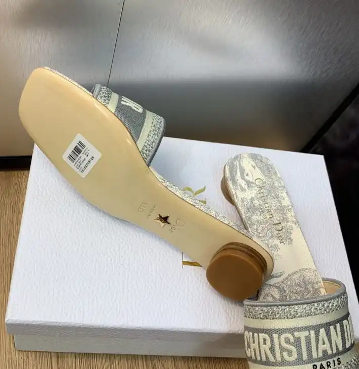 hype Christian Dior Slippers