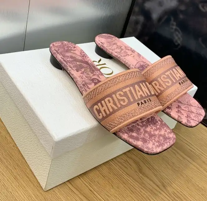 hype Christian Dior Slippers