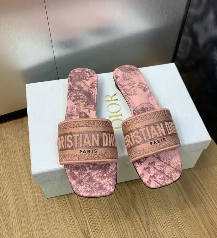 hype Christian Dior Slippers