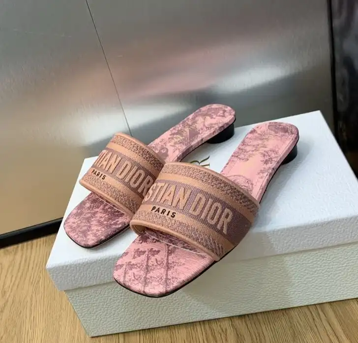 hype Christian Dior Slippers