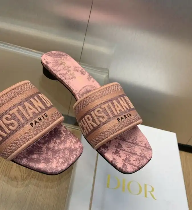 hype Christian Dior Slippers