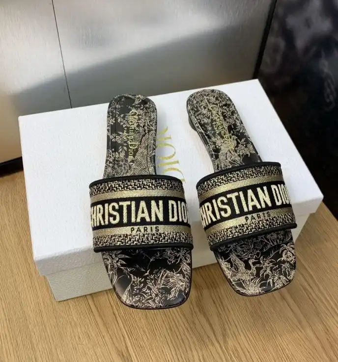 hype Christian Dior Slippers