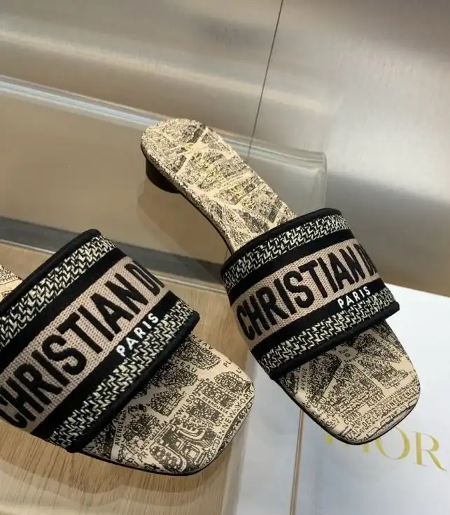 hype Christian Dior Slippers