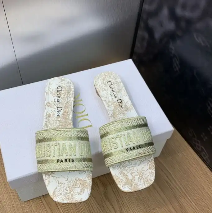 hype Christian Dior Slippers