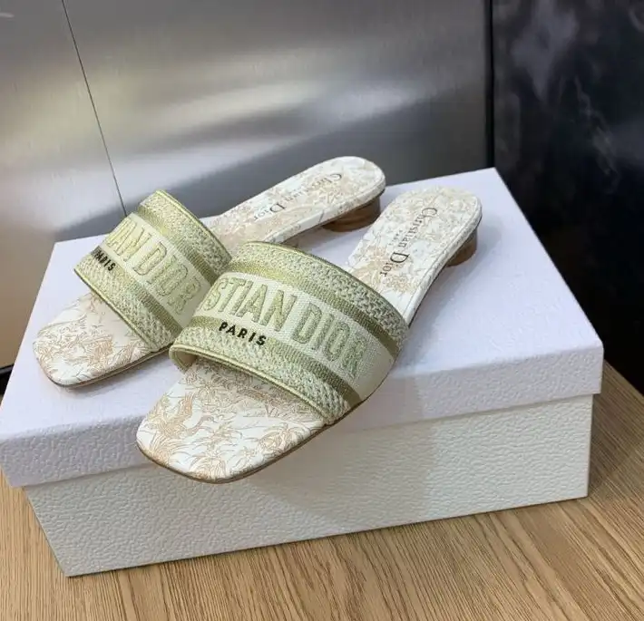 hype Christian Dior Slippers