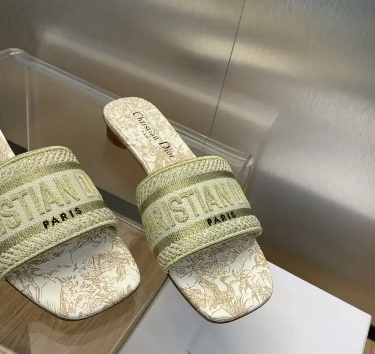 hype Christian Dior Slippers