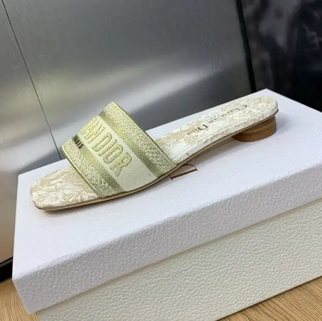 hype Christian Dior Slippers