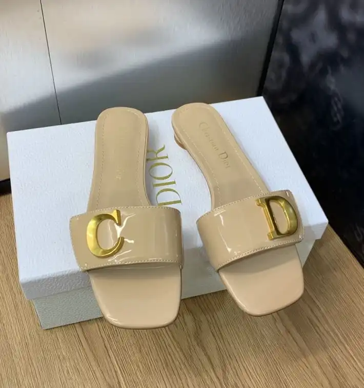 hype Christian Dior Slippers