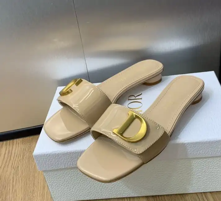 hype Christian Dior Slippers