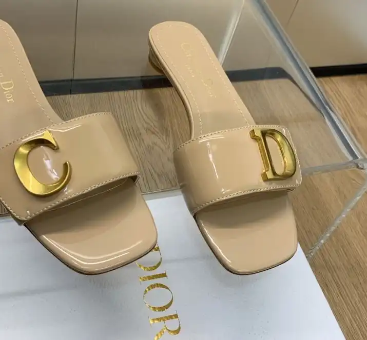 hype Christian Dior Slippers