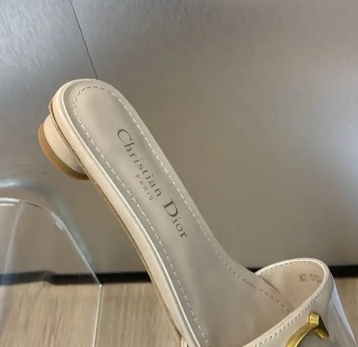 hype Christian Dior Slippers