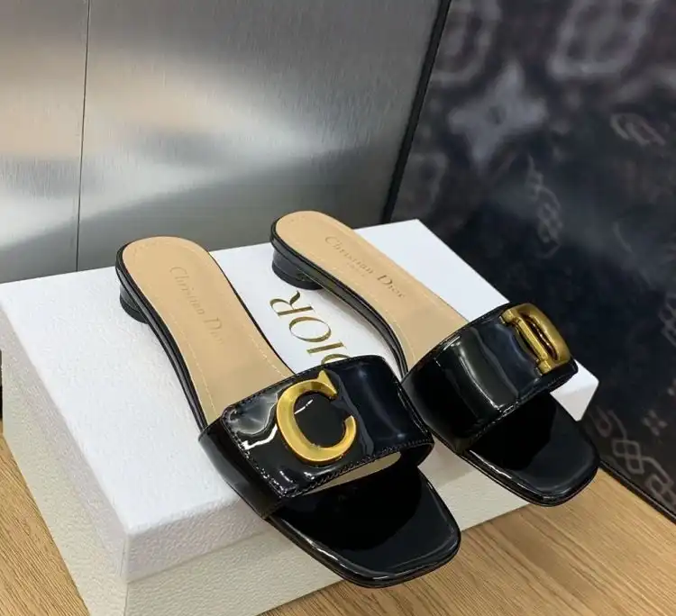 hype Christian Dior Slippers