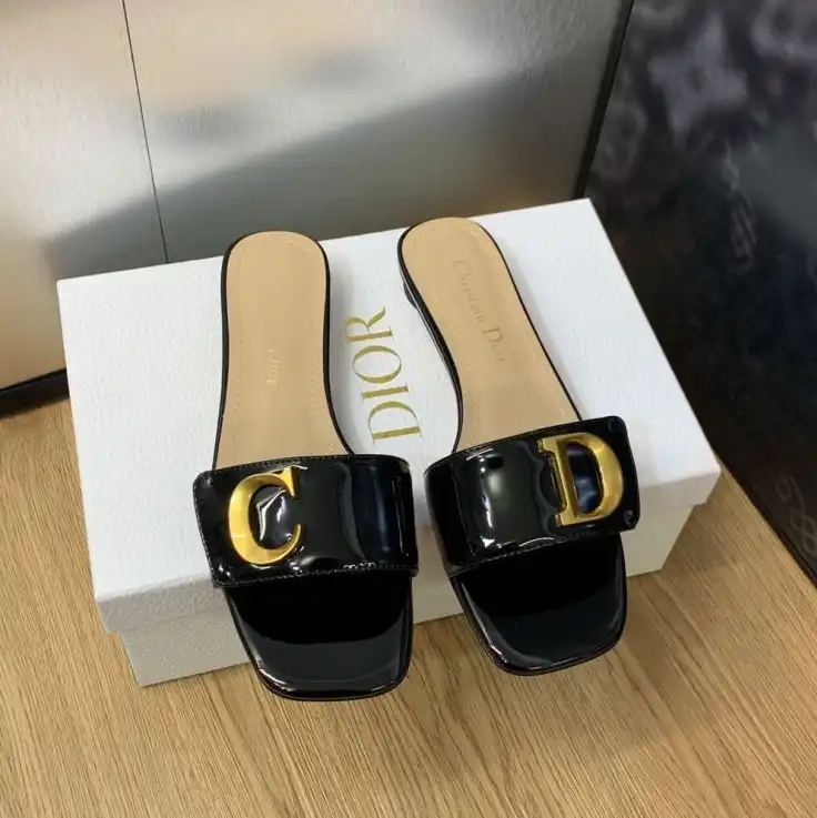 hype Christian Dior Slippers