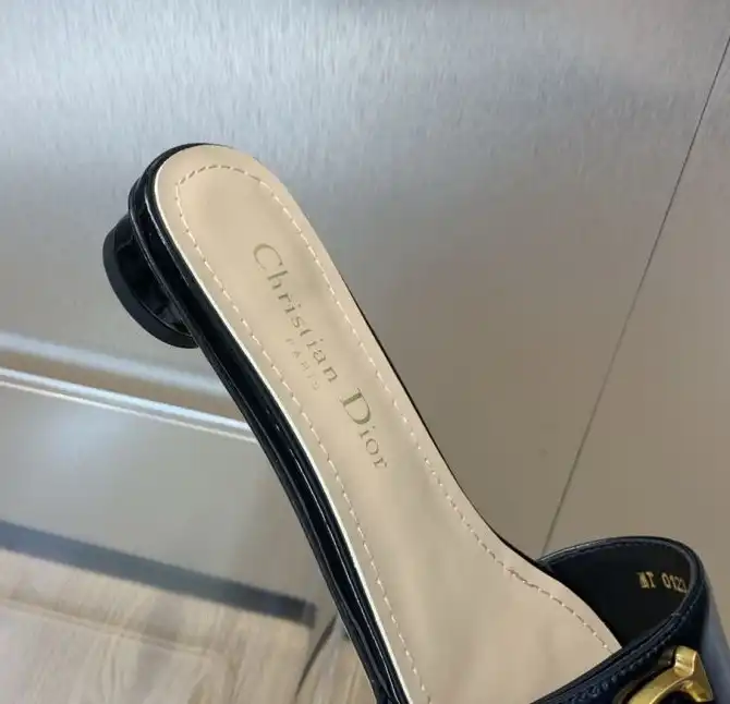 hype Christian Dior Slippers