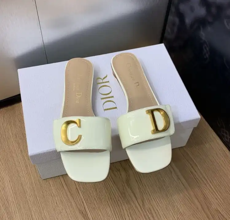 hype Christian Dior Slippers