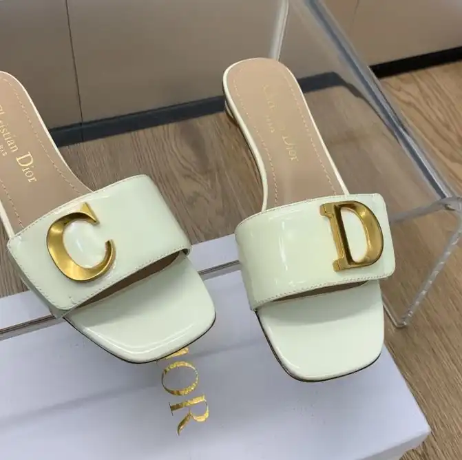 hype Christian Dior Slippers